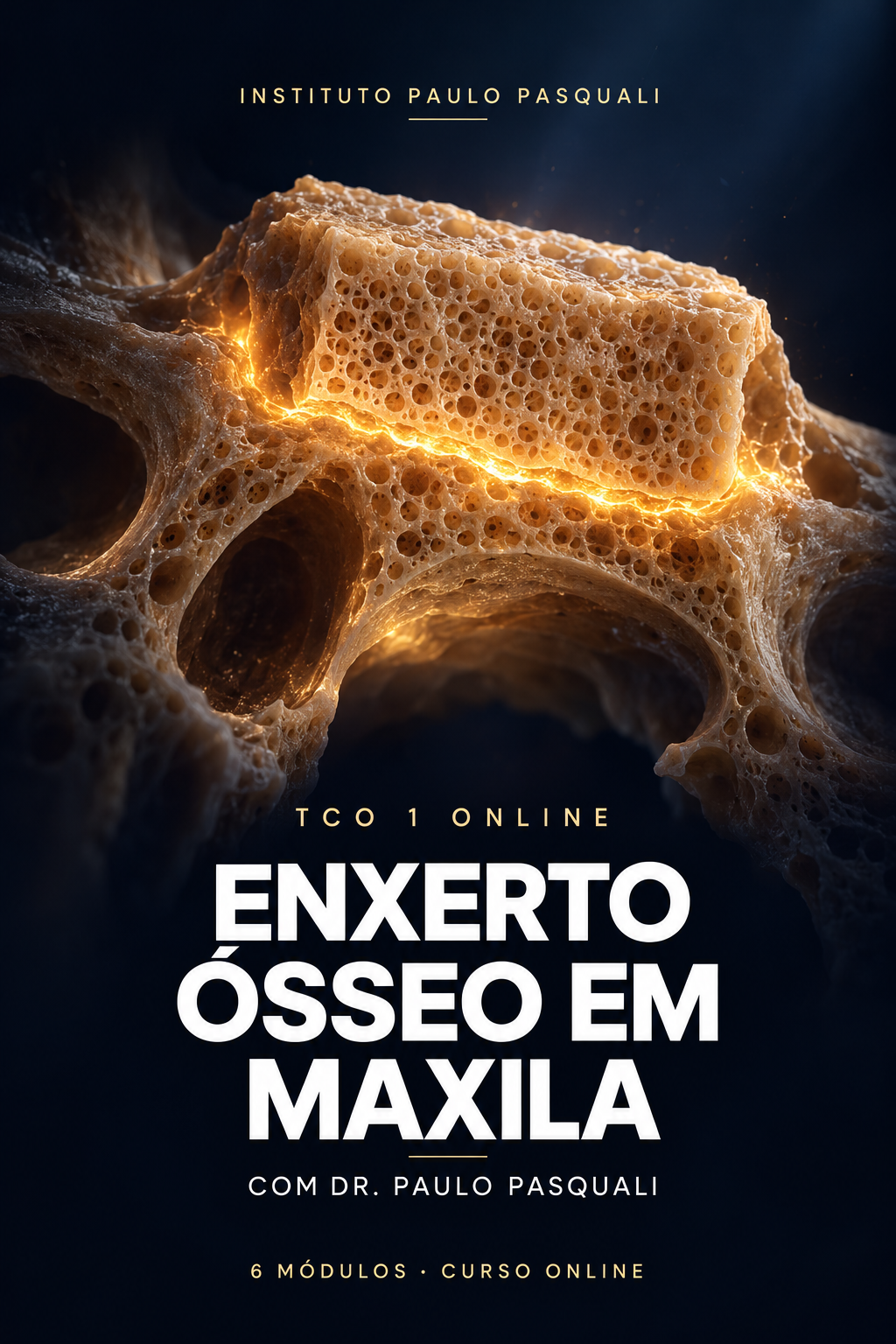 Curso TCO 1
